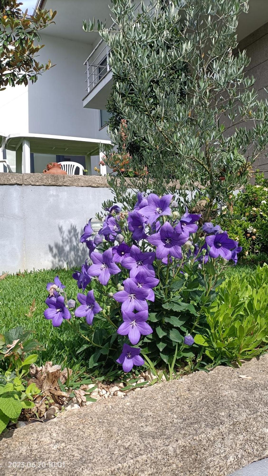 Areias Village 발르 드 캄브라 외부 사진